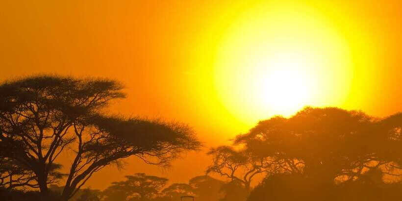 From Colombo: Yala National Park Safari with Transfer - The jeep safari in Yala: how the bumpy ride helps you see more