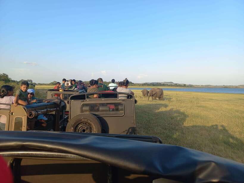 From Dambulla: Minneriya National Park wild Jeep Safari - From Dambulla to the park: what that 25-minute transfer feels like