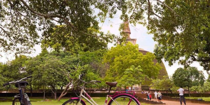 From Dambulla/ Sigiriya: Ancient City of Polonnaruwa by Bike - Polonnaruwa by bike: what the ride feels like
