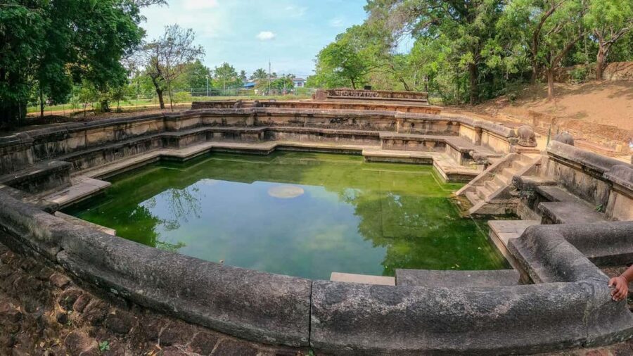 From Dambulla, Sigiriya: Polonnaruwa Tuk Tuk Day Tour - Tickets, meals, and other small things that can make or break your day