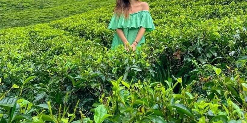 From Ella :All-Inclusive Day Trip to Experience Ella Heights - Flying Ravana Mega Zipline: pay extra if you want the adrenaline
