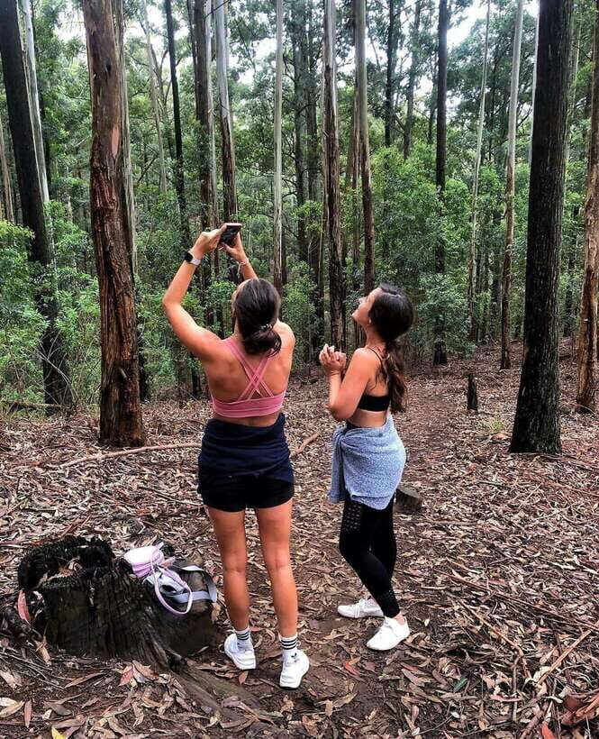 From Ella- All Inclusive Day Trip to Experience Ella & Train - Ravana Falls: mist, photos, and a folklore setting