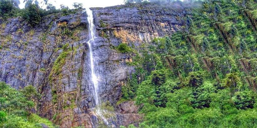 From Ella: Diyaluma Falls Full-Day Tour with Lunch - Key Highlights You’ll Care About