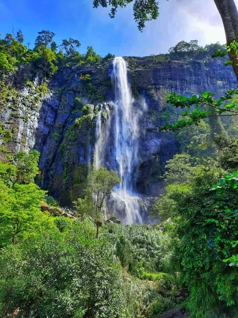 From Ella: Diyaluma Waterfall and Natural Pool Bath Tour - Diyaluma Falls: a 220m roar with rainforest footing