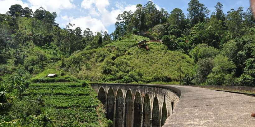 From Ella: Little Adam’s Peak and Nine Arches Bridge Hiking - Key Highlights You’ll Feel