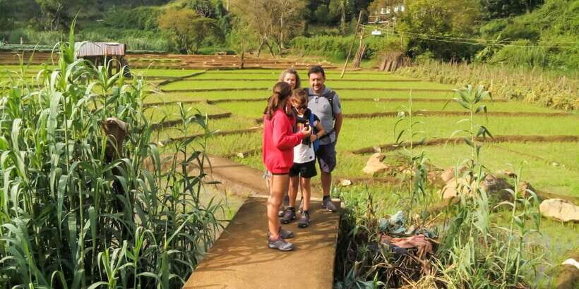 From Ella: Little Adam’s Peak and Nine Arches Bridge Hiking - FAQ