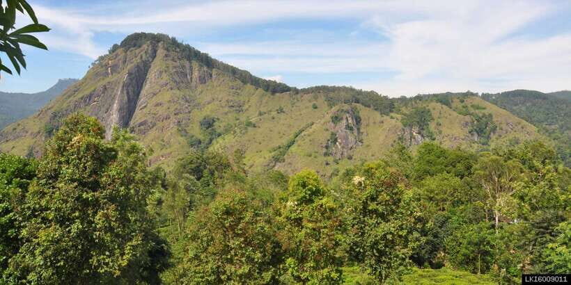 From Ella: Little Adam’s Peak and Nine Arches Bridge Hiking - Little Adam’s Peak: The Early-Morning Climb From Ella