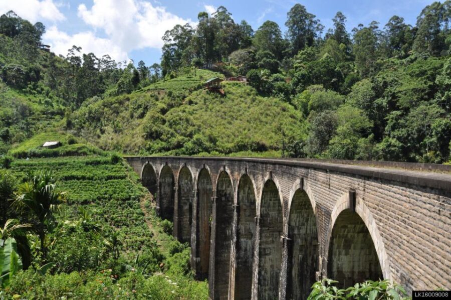 From Ella: Little Adam’s Peak and Nine Arches Bridge Hiking - What You’ll Like Most (And Who This Suits)