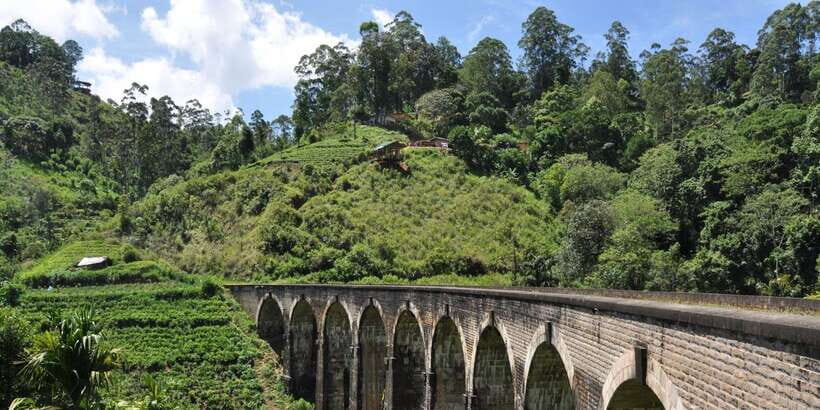 From Ella: Little Adam’s Peak and Nine Arches Bridge Hiking - Lunch, Snacks, and Energy Planning