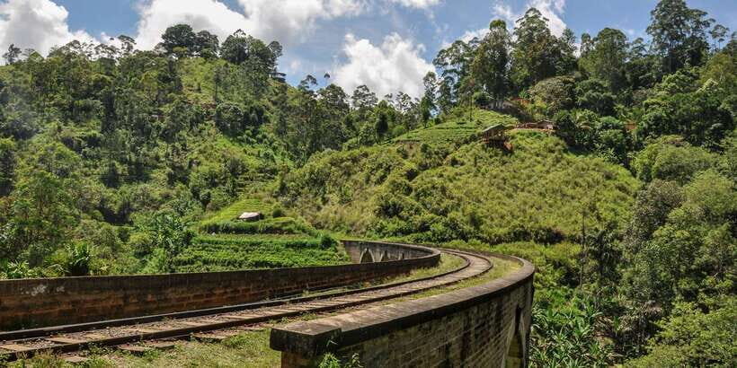 From Ella: Little Adam’s Peak and Nine Arches Bridge Hiking - Should You Book This Tour?