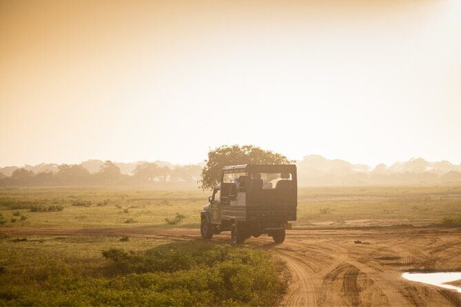 From Ella: Private Yala Safari & Transfer/Tangalle/Mirissa/Galla - Breakfast, binoculars, and bottled water: the small perks that help