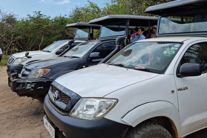 From Ella: Private Yala Safari & Transfer/Tangalle/Mirissa/Galla - Should you book this Yala safari with Dinuka Safari?