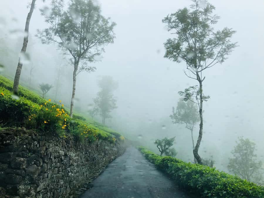 From Ella: Tea Adventure in Haputale with Village Lunch - Getting There: Pickup Options and Two Tuk Tuk Legs