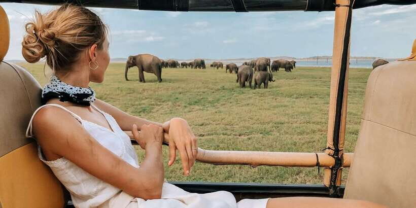 From ELLA to ARUGAM-BAY transfer with YALA Safari Tour - Ella to Arugam Bay in One Ticket: How the Day Flows