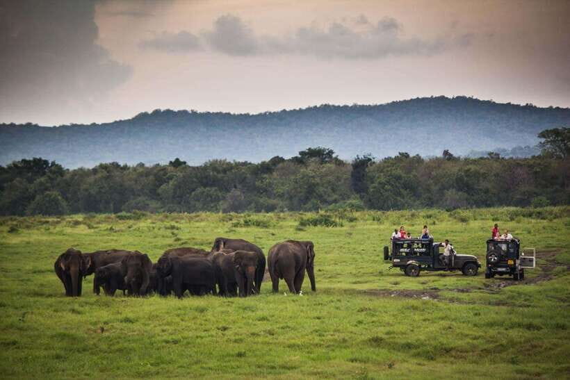 From Ella: Udawalawa Safari and Tangalle/Hiriketiya Transfer - What to pack and how to get the most out of the safari