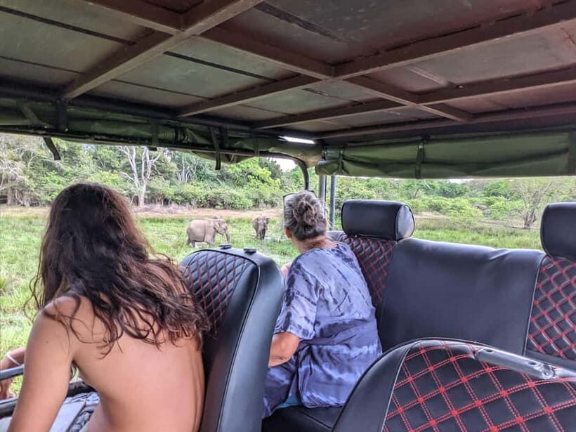 From Ella : Udawalawa Safari & Drop Tangalle/ Mirissa/ Galle - Should You Book This Udawalawe Safari + Drop to the Coast?