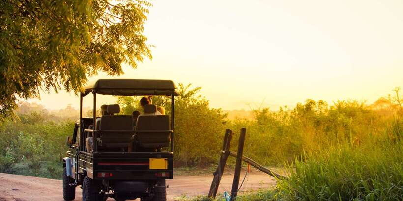 From Ella: Udawalawe Safari with Elephant Transit Home - Lunch in Udawalawe: Budgeting for the Food Break