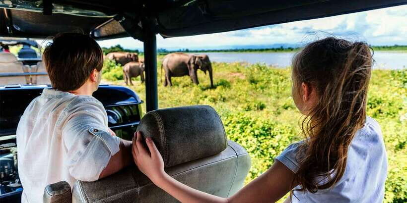 From Ella: Udawalawe Safari with Elephant Transit Home Visit - Key Things You Should Know Before You Go