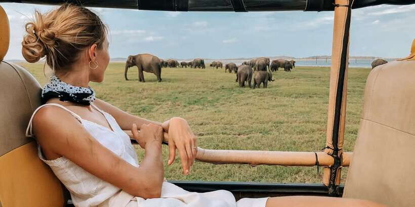 From Ella: Udawalawe Safari with Elephant Transit Home Visit - From Ella to Udawalawe: What the 2-Hour Transfer Really Means