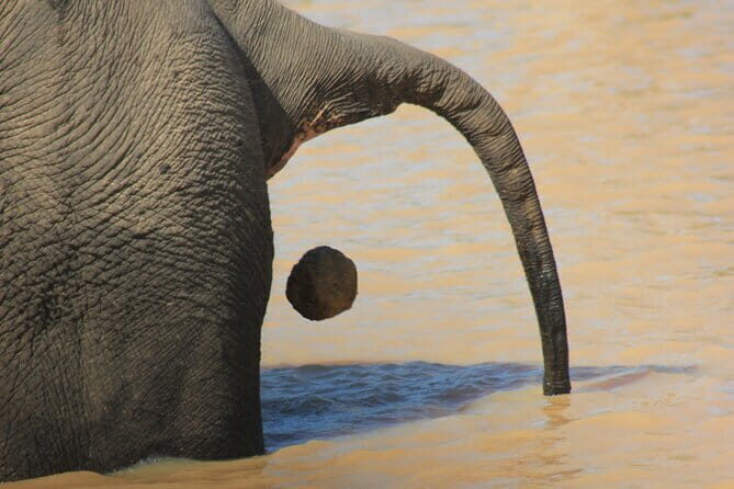 From: Ella - YALA Safari - Drop off: Arugam Bay / Arugambay - Key points to know before you go