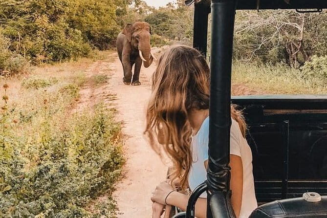 From: Ella - YALA Safari - Drop off: Arugam Bay / Arugambay - The second drive: off the beaten path, 1 hour of leopard focus