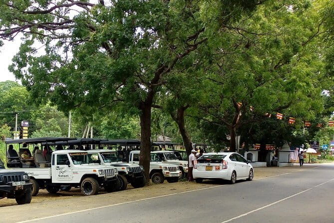 From: Ella - YALA Safari - Drop off: Arugam Bay / Arugambay - What this safari is like in the field (and what to pack)