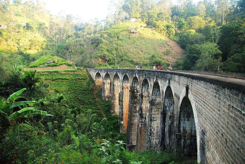 From Galle/Hikkaduwa/Mirissa: Day Trip to Experience Ella - Price and What $57 Really Buys You