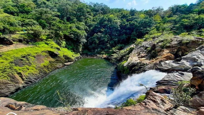 From Galle/Weligama/Mirissa/Matara: Day Trip to Sinharaja - Key things that make this Sinharaja trip worth it