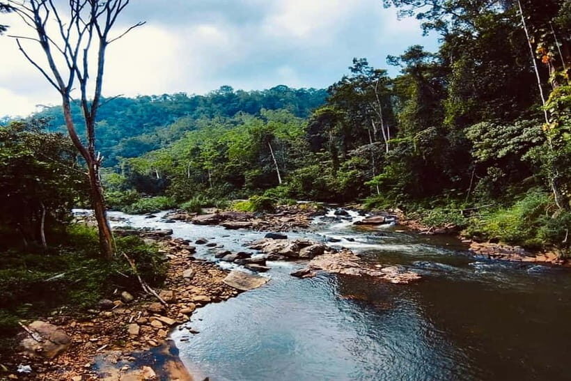From Galle/Weligama/Mirissa/Matara: Day Trip to Sinharaja - Value for $193: Private Group Comfort Plus a Real Rainforest Guide