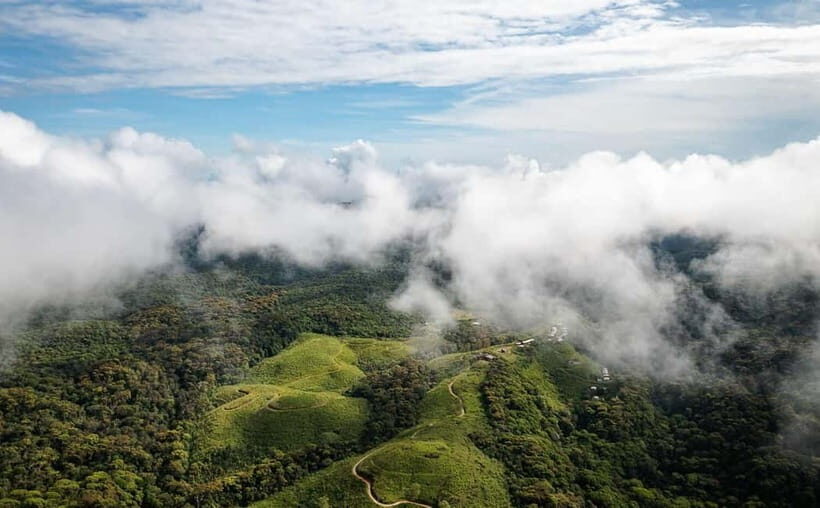 From Galle/Weligama/Mirissa/Matara: Day Trip to Sinharaja - Pickup Routes: Galle, Weligama, Mirissa, Tangalle, and Matara