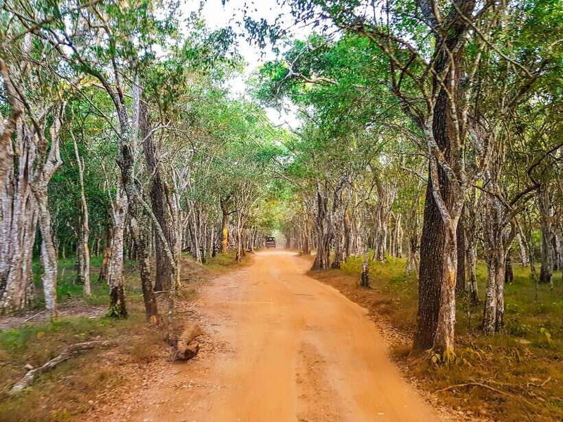 From Hambantota Port: Yala National Park Private Safari - Price and Inclusions: Is $142 per person fair?