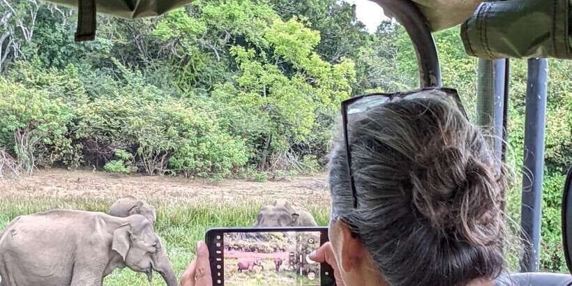 From Hikkaduwa/ Galle/ Mirissa - Yala National Park Safari - Getting Picked Up: Where You Start Changes the Timing