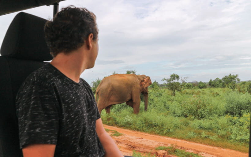 From: Hiriketiya/ Tangalle - Udawalawe Safari - To: Ella - Animal welfare and comfort notes you should not ignore