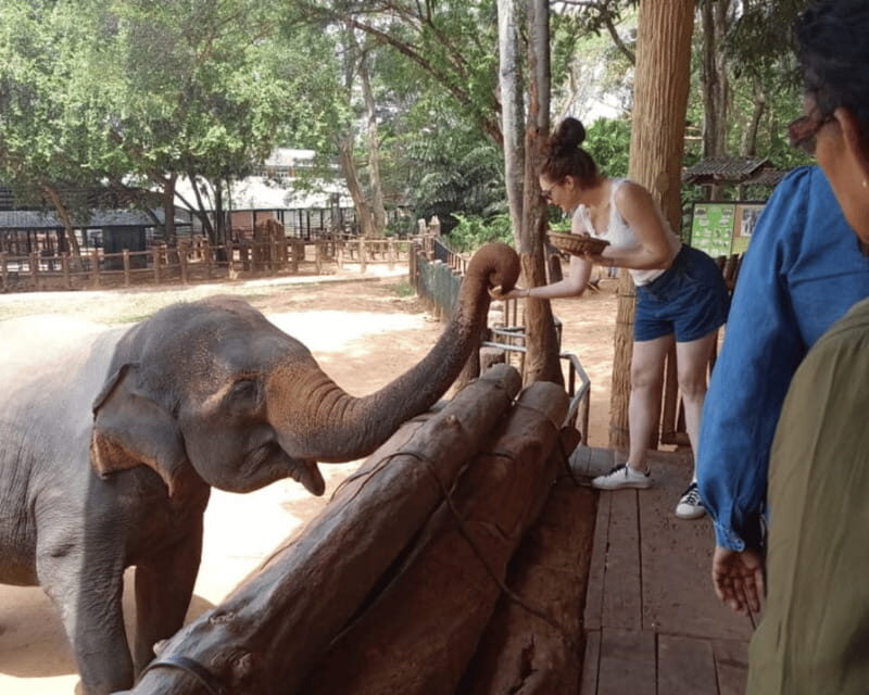 From: Hiriketiya/ Tangalle - Udawalawe Safari - To: Ella - FAQ