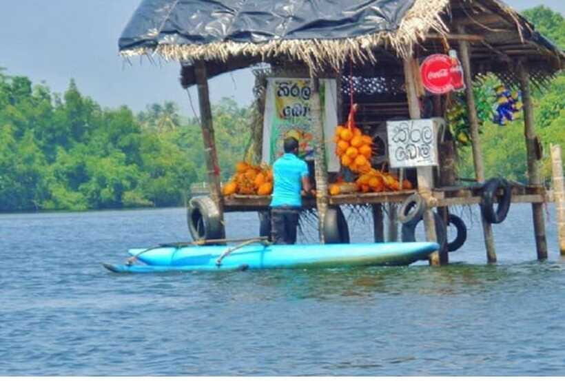 From Kalutara: Exclusive Madu River Safari & Turtle Hatchery - Who This Tour Fits Best (and Who Might Want a Different One)