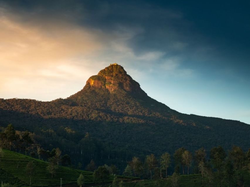 From Kandy: All Inclusive Adams Peak Epic Guided Hike - The summit push and the cold reality around 4:30 am