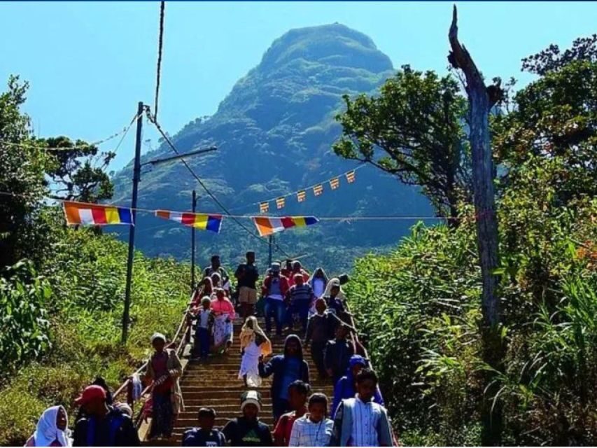 From Kandy: All Inclusive Adams Peak Epic Guided Hike - Leaving Kandy at 9:00 pm: the transfer you’ll be grateful for