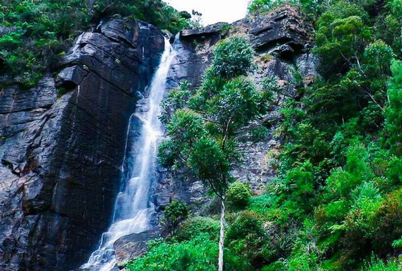 From Kandy: All Inclusive Nuwara Eliya Day Tour with Lunch - Hanuman Temple in Ramboda and the Ramayana trail feeling