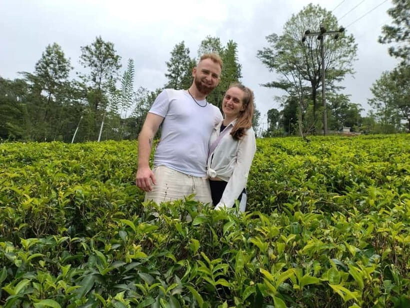 From Kandy: Ella Drop Tour via Nuwara Eliya - What to pack for temples and hill weather