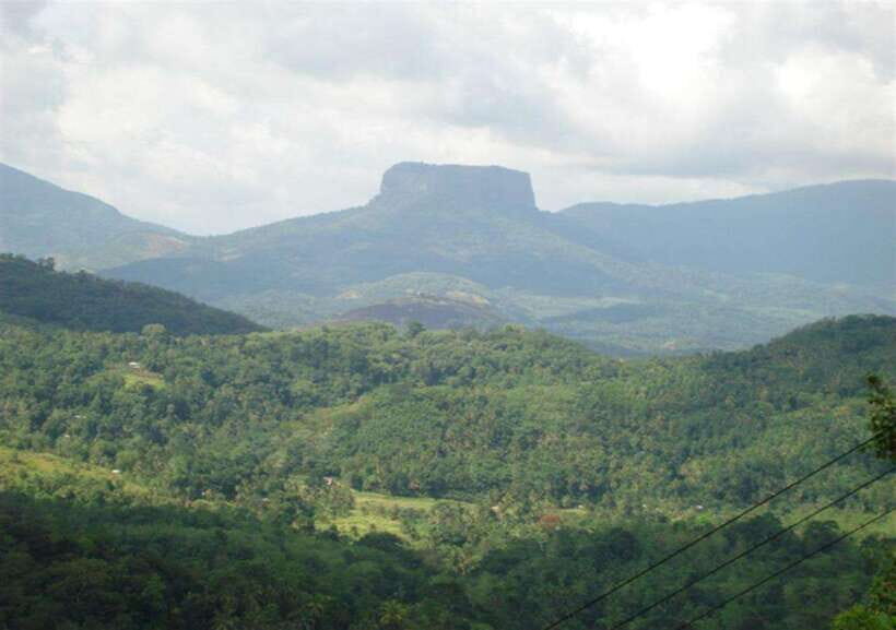 From Kandy: Kandy To Pinnawala Day Tour by Tuk Tuk - Price and logistics: is $42 good value?