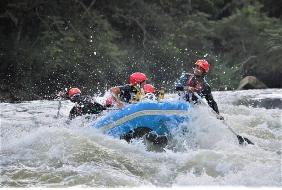 From Kandy: Kithulgala White Water Rafting Adventure - Who should book this Kelani River rafting day (and who might skip it)