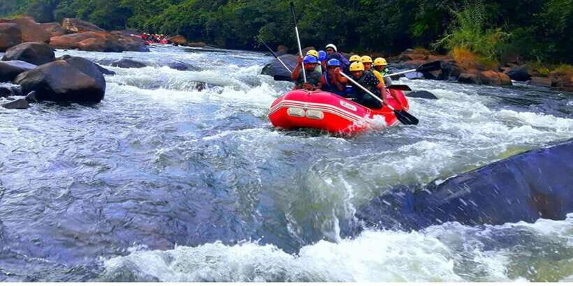 From Kandy: Kithulgala White Water Rafting Adventure - The 5.5-hour flow: from hotel pickup to rafting and the return ride