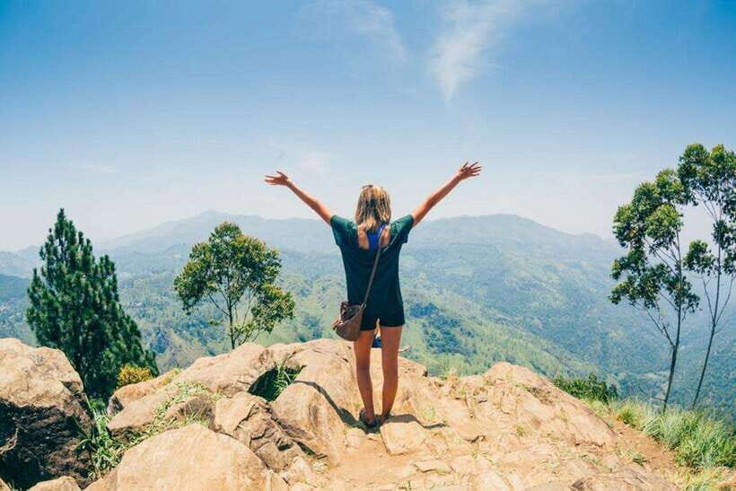 From Kandy: Knuckles Mountain Range Tuk Tuk Safari - Biodiversity and montane forest: why the hike feels more meaningful