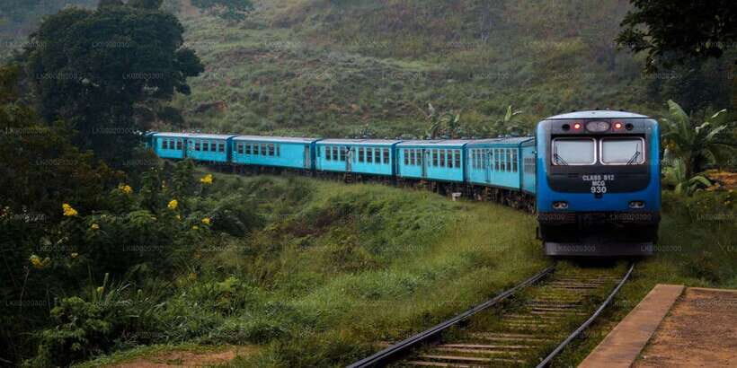 From Kandy: Nuwara Eliya by Train - Key highlights worth planning around