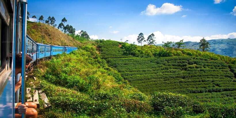 From Kandy: Nuwara Eliya by Train - Lake Gregory, postcards, and the Nuwara Eliya walk
