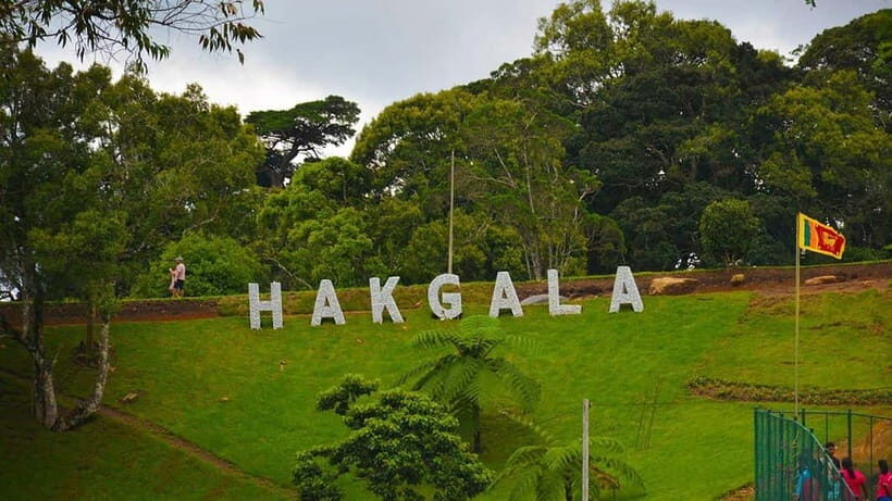 From Kandy: Nuwara Eliya Tour via Ambuluwawa [Private Tour] - Guides and comfort: what makes the day feel smooth
