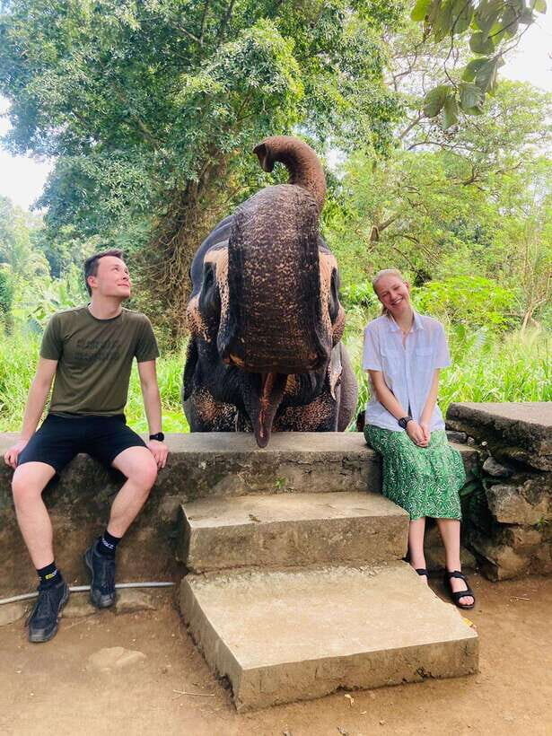 From Kandy : Pinnawala Elephant Orphanage & Ambuluwawa Tower - Key things to know before you go
