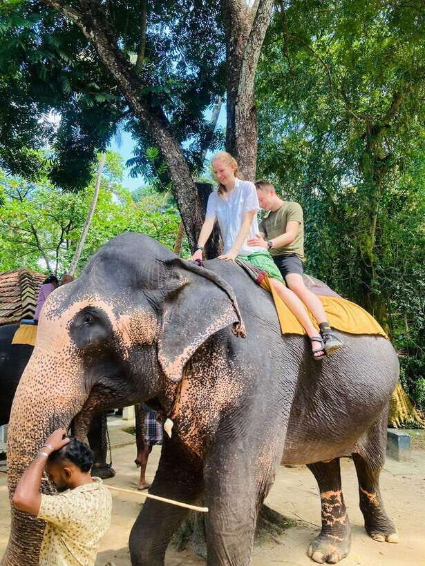 From Kandy : Pinnawala Elephant Orphanage & Ambuluwawa Tower - How this day trip works: the wildlife-to-views rhythm