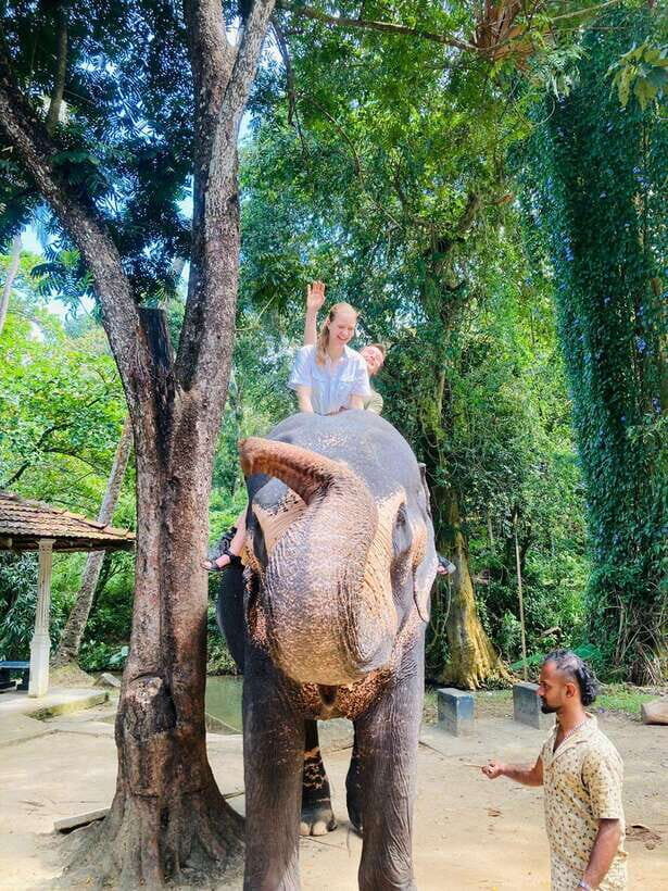 From Kandy : Pinnawala Elephant Orphanage & Ambuluwawa Tower - Kandy viewpoints and stupa stops: the scenery breaks you’ll thank yourself for