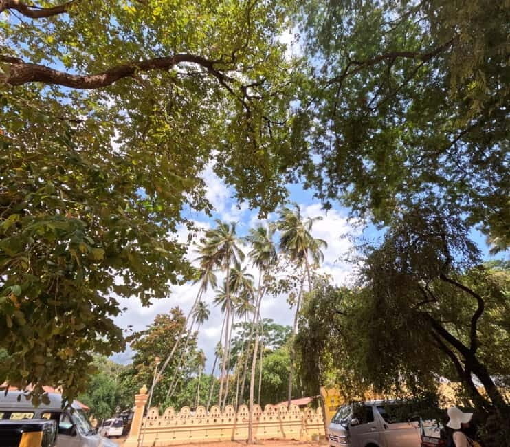 From Kandy: Sigiriya & Dambulla Day Tour with Safari - Afternoon Wildlife Safari: Minneriya, Kaudulla, or Hurulu Eco-Park